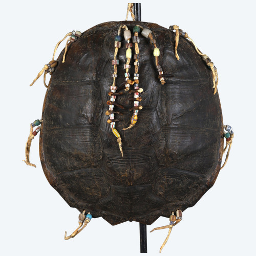 Brustschildkröte – Prärieindianer, USA