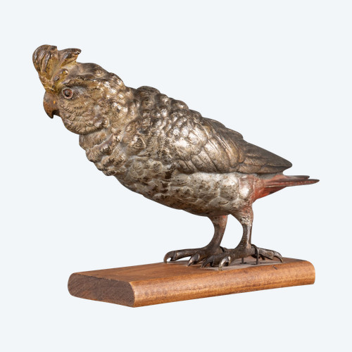 Bronze de Vienne Perruche callopsite, XIXe siècle 