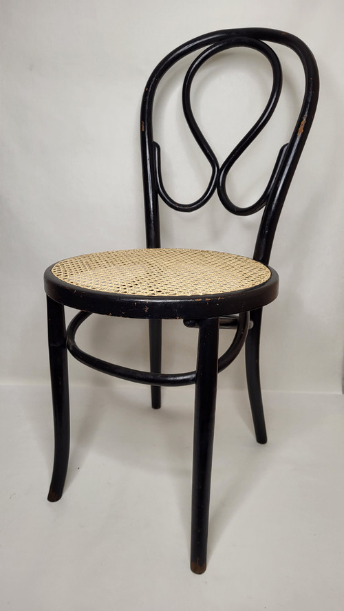 Coppia di sedie Omega in legno curvato Art Nouveau, annerito