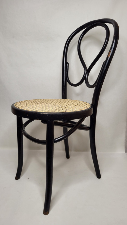 Coppia di sedie Omega in legno curvato Art Nouveau, annerito