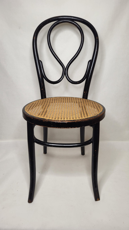 Coppia di sedie Omega in legno curvato Art Nouveau, annerito