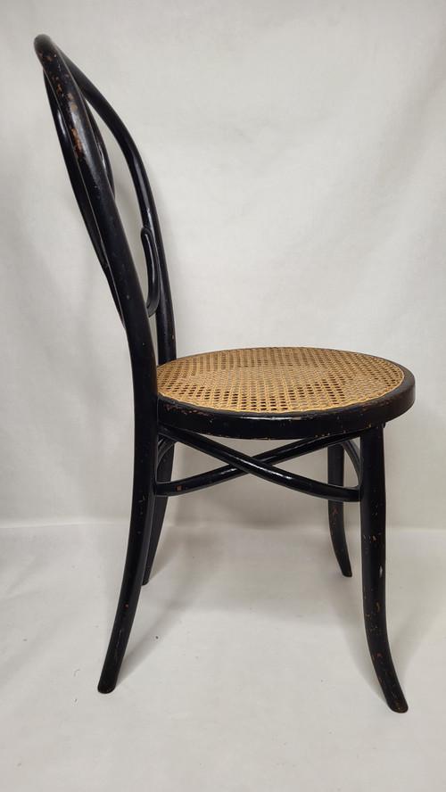 Coppia di sedie Omega in legno curvato Art Nouveau, annerito