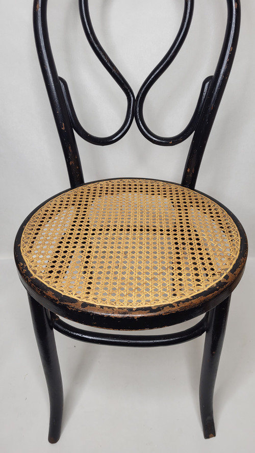 Coppia di sedie Omega in legno curvato Art Nouveau, annerito