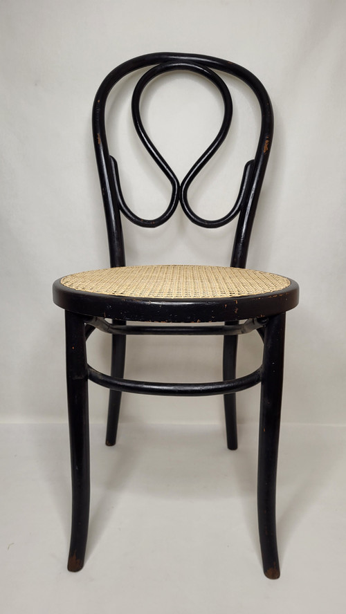 Coppia di sedie Omega in legno curvato Art Nouveau, annerito