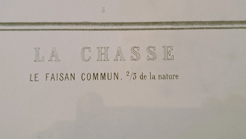 Engraving of Chasse le Faisan after Edouard Traviés