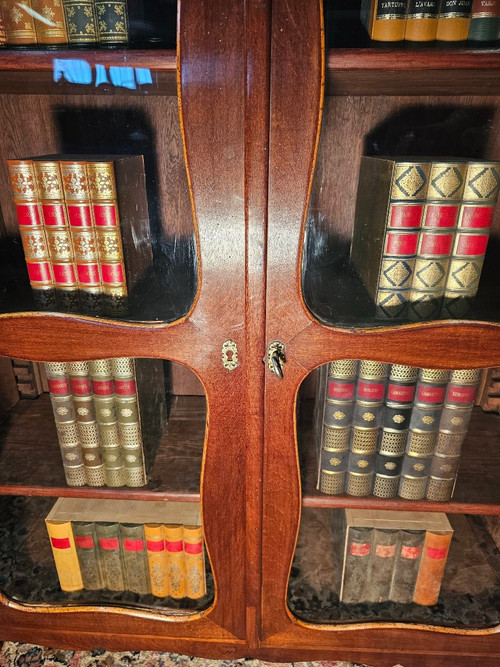 19th Century Louis XV Mahogany Bookcase