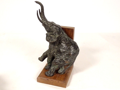 Pair of bookends Elephant sculptures Ary Bitter Bronze Art Deco 20th century
