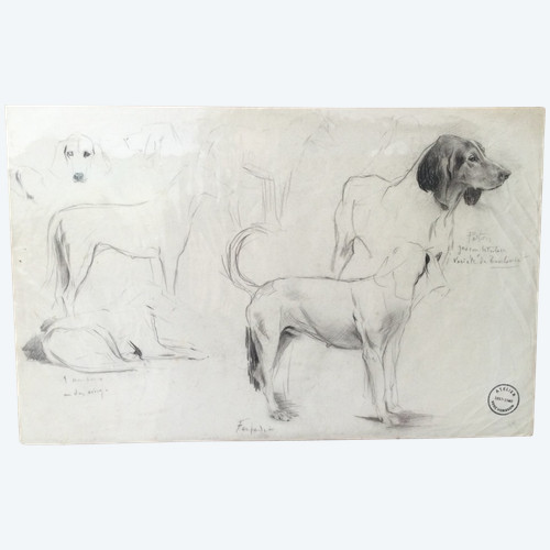 Studie eines Hundes . René Igel
