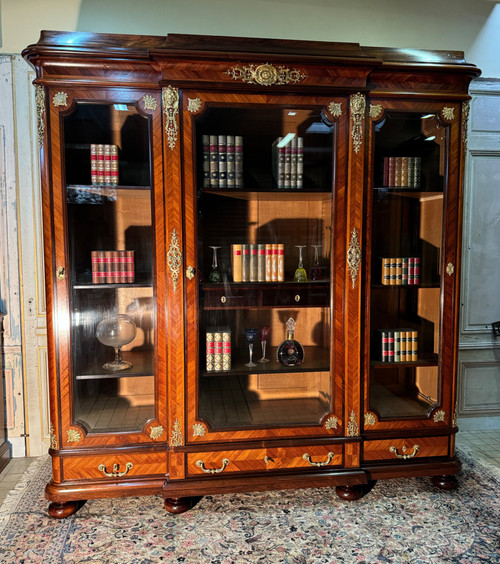 Napoleon 3 large library