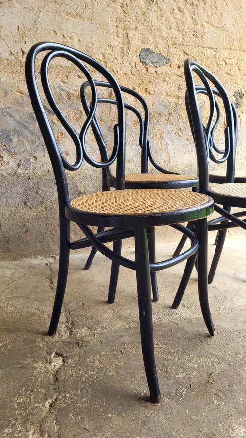 4 sedie in legno curvato in stile Art Nouveau