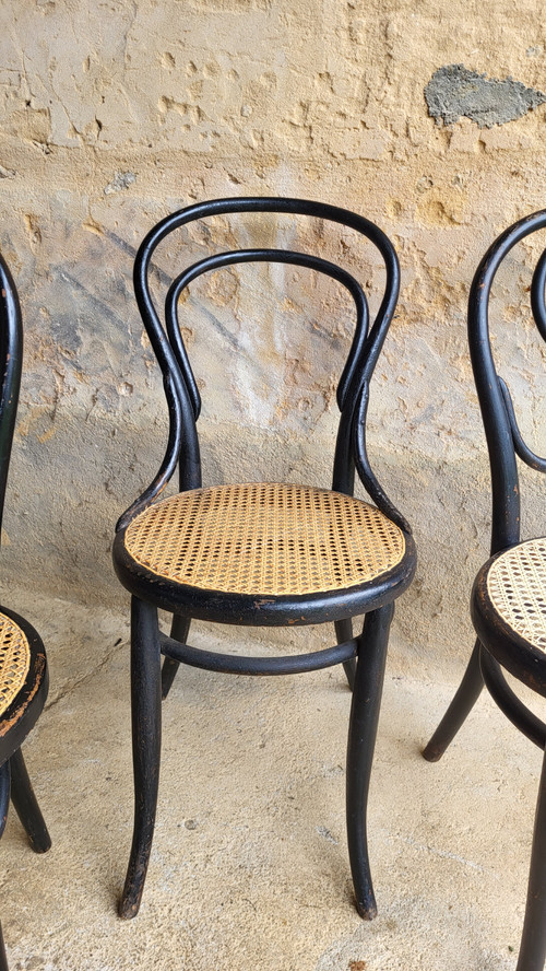 4 sedie in legno curvato in stile Art Nouveau