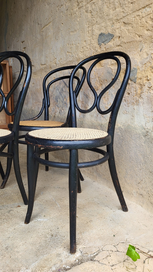 4 sedie in legno curvato in stile Art Nouveau