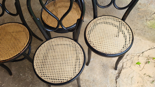 4 sedie in legno curvato in stile Art Nouveau