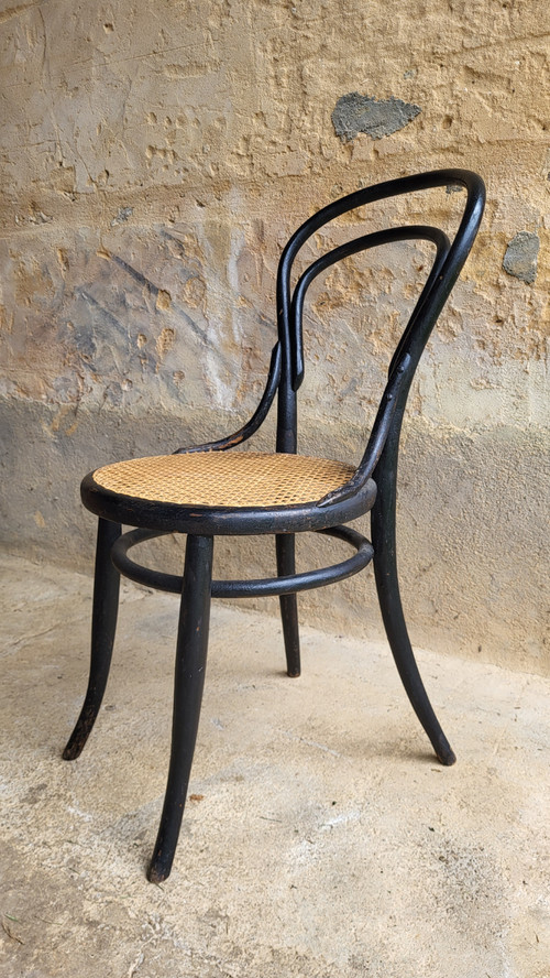 4 sedie in legno curvato in stile Art Nouveau
