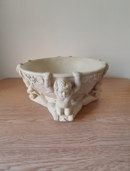 Coupe aux chérubins 