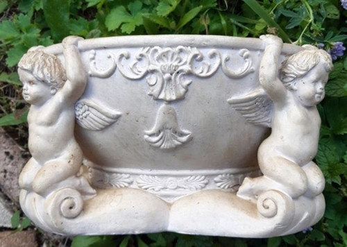Coupe aux chérubins 