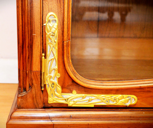 Art Nouveau Library Showcase