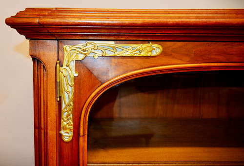 Art Nouveau Library Showcase