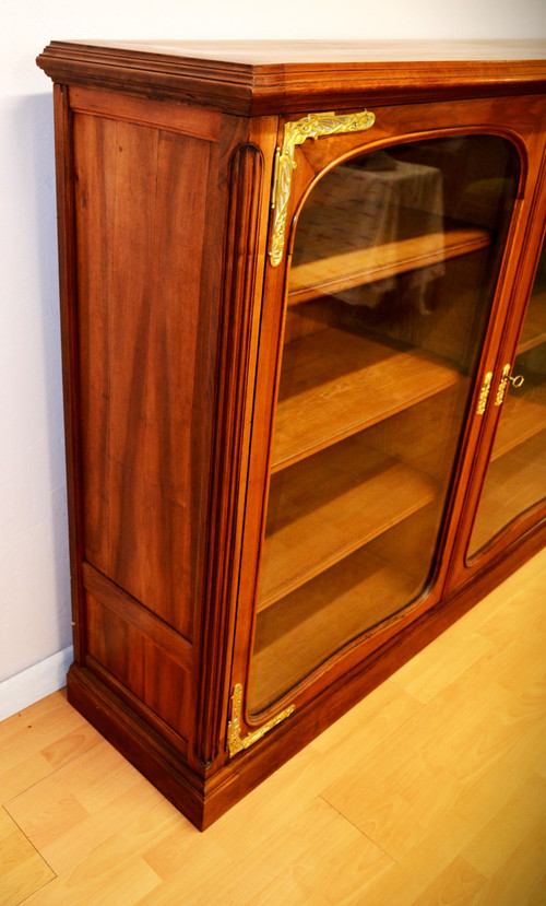 Art Nouveau Library Showcase