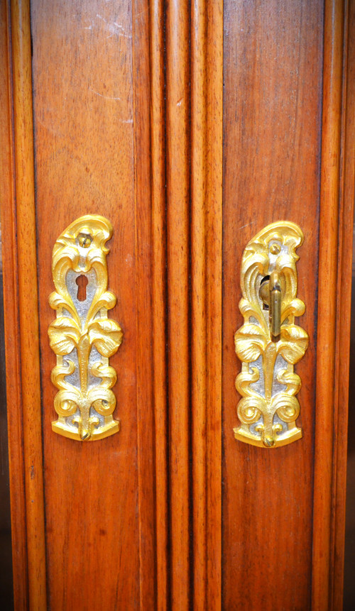 Art Nouveau Library Showcase