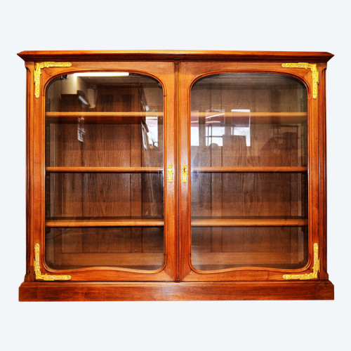 Art Nouveau Library Showcase