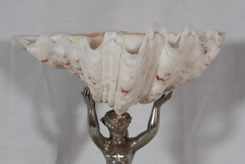 Nereid Stoup With Tridacna Shell 19th Century 
