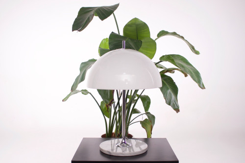 Lampe "Tulpe"