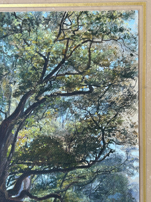 Armand Théophile Cassagne (1823-1907) Aquarelle Vue De La Forêt De Fontainebleau 1866 