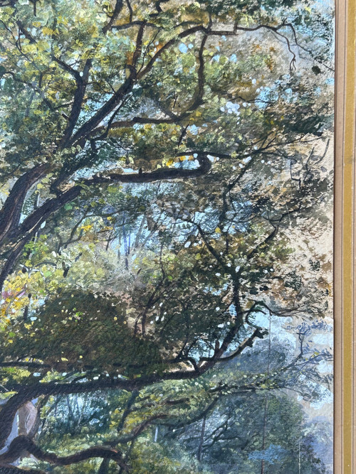Armand Théophile Cassagne (1823-1907) Aquarelle Vue De La Forêt De Fontainebleau 1866 
