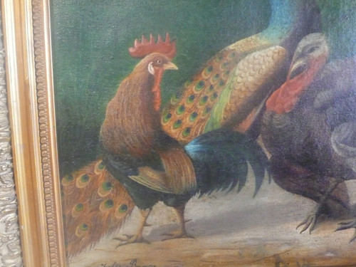 Tableau représentant un paon, un coq et un dindon signé Jules Bracq.