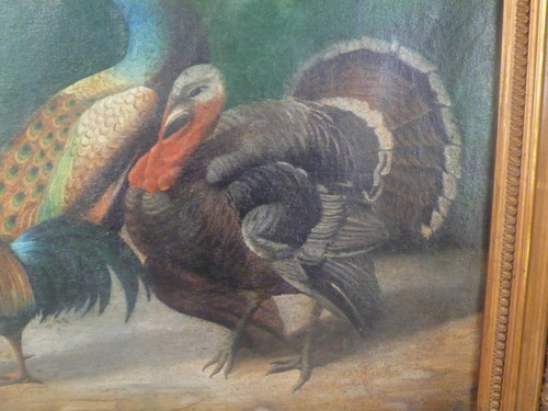 Tableau représentant un paon, un coq et un dindon signé Jules Bracq.