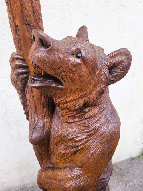 Ours Porte-manteau, Forêt Noire,  Fin XIXème Début XXème Siècle