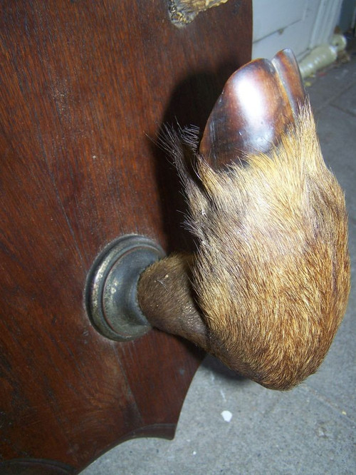 Porte manteaux en bois de cerf début 20ème 