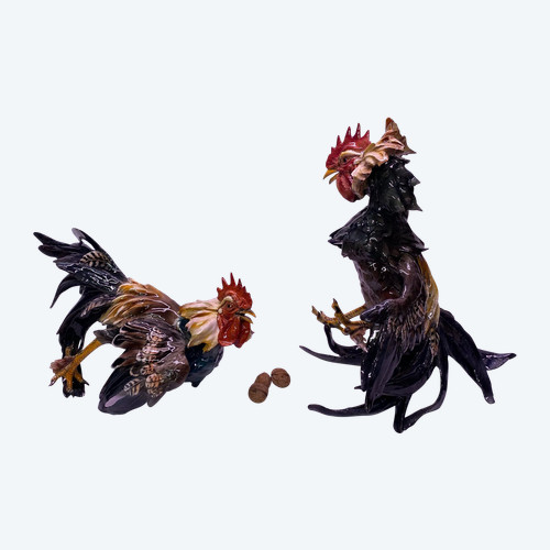 combat de coqs