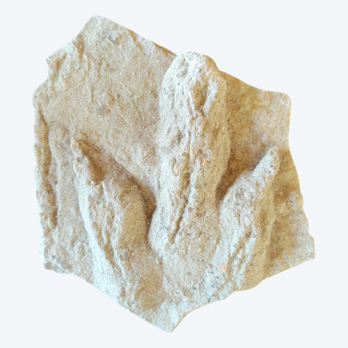 Geological plaque of tridactyl footprints of bipedal dinosaurs from the Veillon infralias (Vendée)