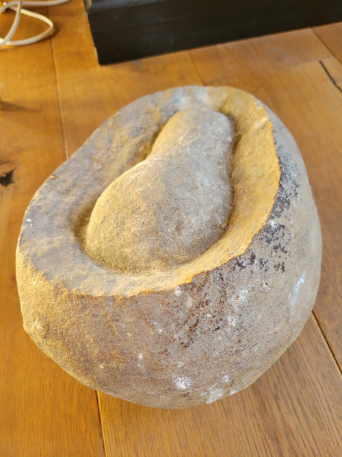 Fossil presented as a dinosaur egg