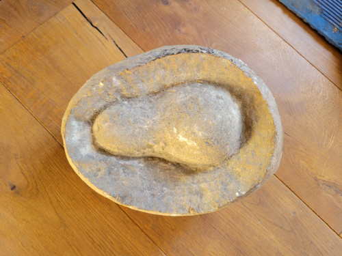Fossil presented as a dinosaur egg