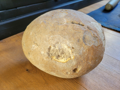 Fossil presented as a dinosaur egg