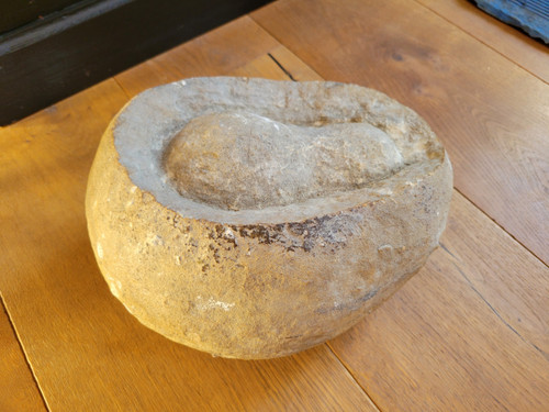 Fossil presented as a dinosaur egg