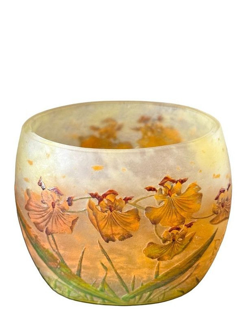 Daum Nancy Vase "Orchideen"