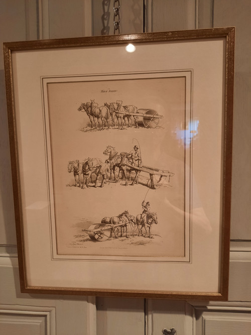 Deux gravures anglaises d’époque XIXème siècle.