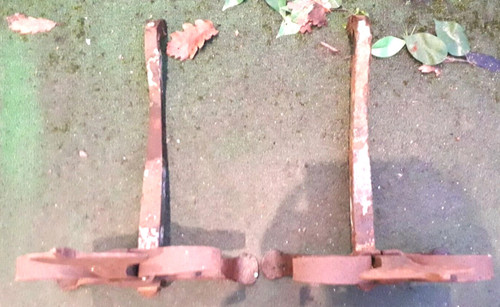 pair of fleur de lys andirons
