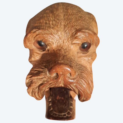 Zoomorphic walnut nutcracker, representing a dog's head.