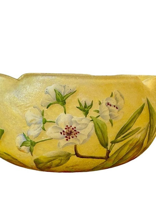 Coppa quadrilobata Daum Nancy "Fiori di melo"