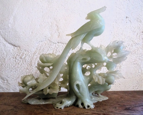 Uccelli serpentini