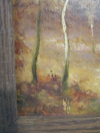 "forest study"