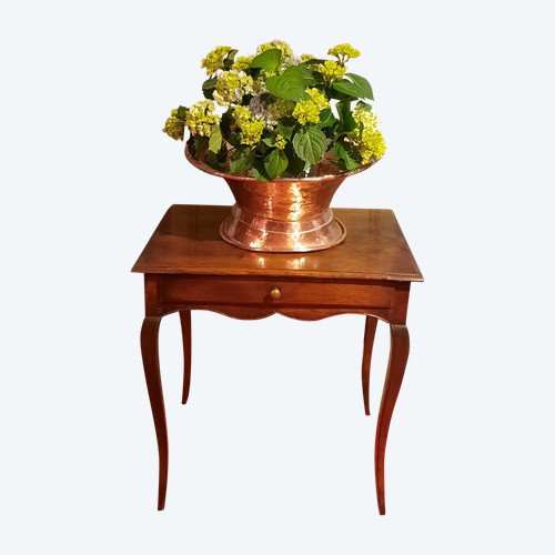 Fountain and its copper basin from the 18th century.
