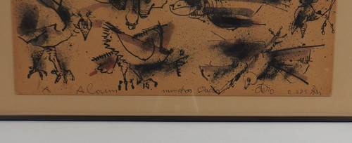 Oiseaux Par Camilo Otero