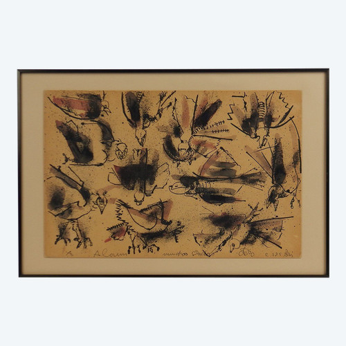 Oiseaux Par Camilo Otero