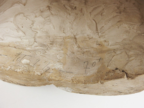 Busto in gesso di Louis Pavie